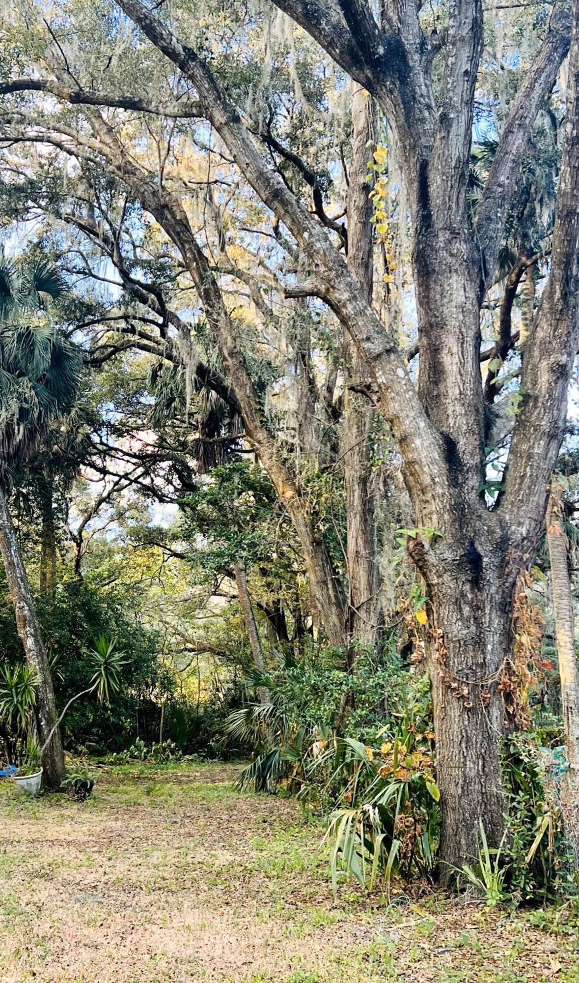 Country Welcome Micanopy Kültér fotó